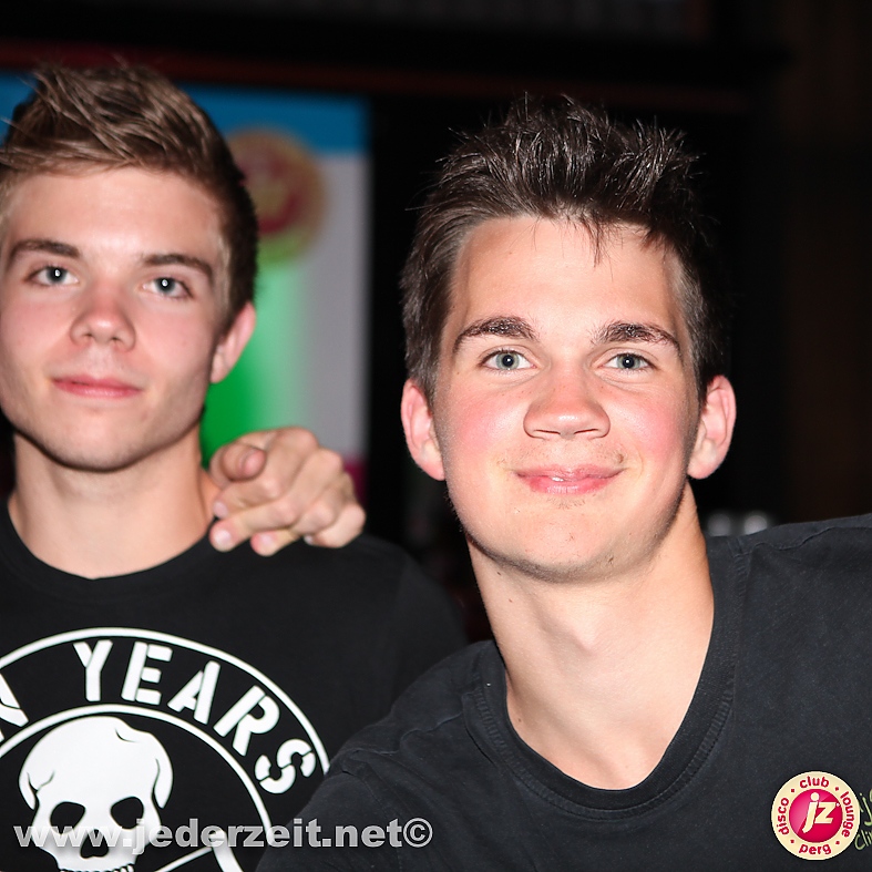 graue gänse beflügeln