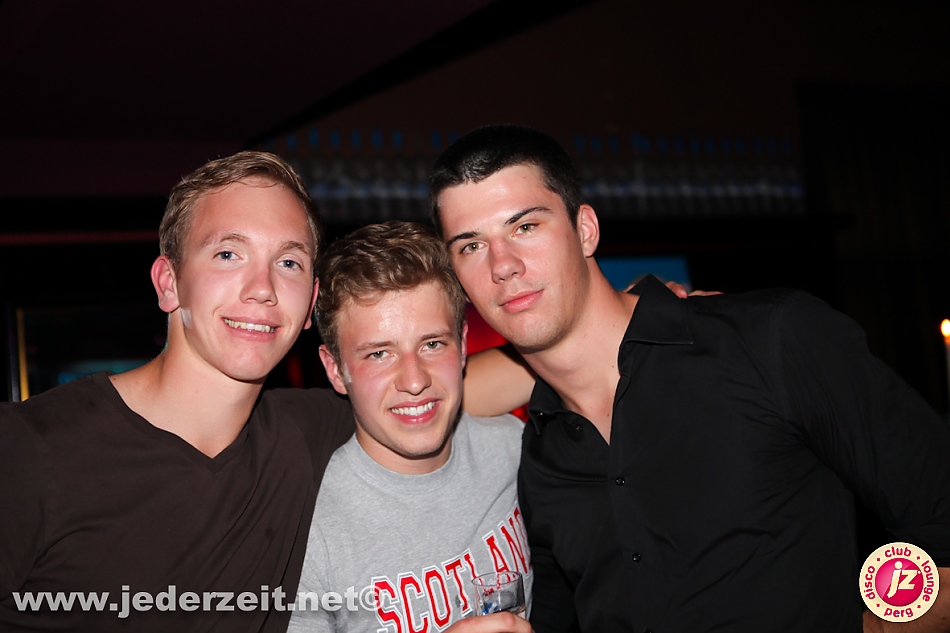 graue gänse beflügeln