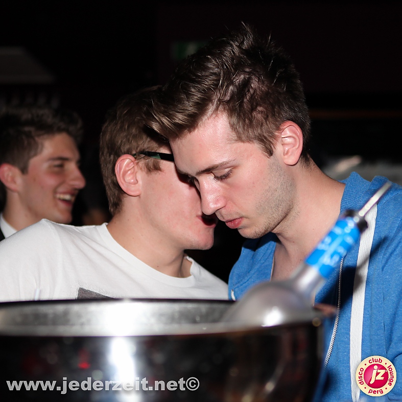 graue gänse beflügeln