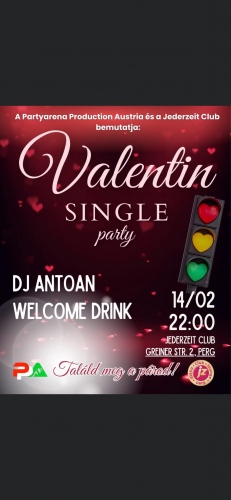 Valentin Single Party 
